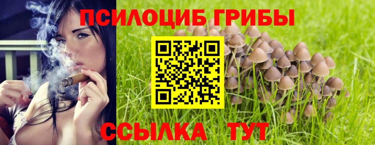 Новоалтайск  Псилоцибиновые грибы мицелий  Вход с VPN 